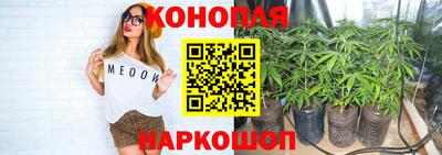 прущие крисы Усть-Джегута
