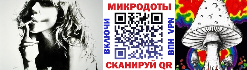 Псилоцибиновые грибы прущие грибы  Удомля 