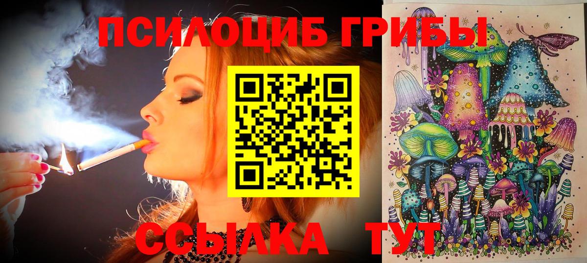 Удомля  купить  цена  Вход с VPN  Псилоцибиновые грибы Cubensis 